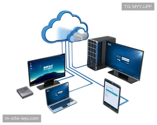 自适应流媒体技术升级 保障复杂网络下的流畅观看
